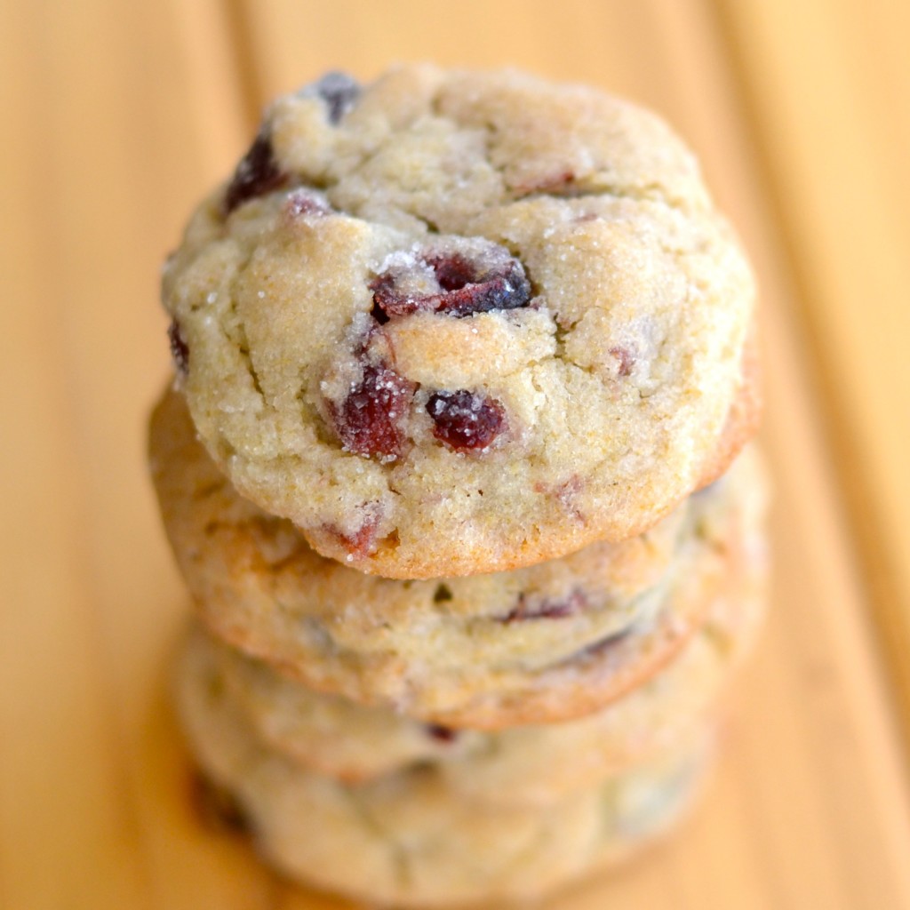 Deliciously simple and soft cranberry sugar cookies.